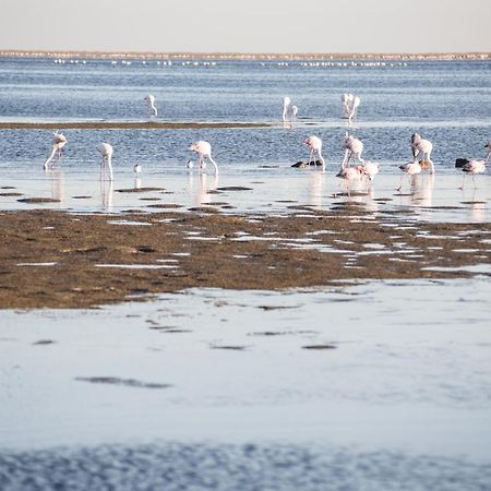 Flamingo Villas Boutique Hotel Уолфиш-Бей Экстерьер фото